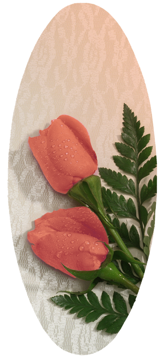 A18 2 Rose Peach PROOF